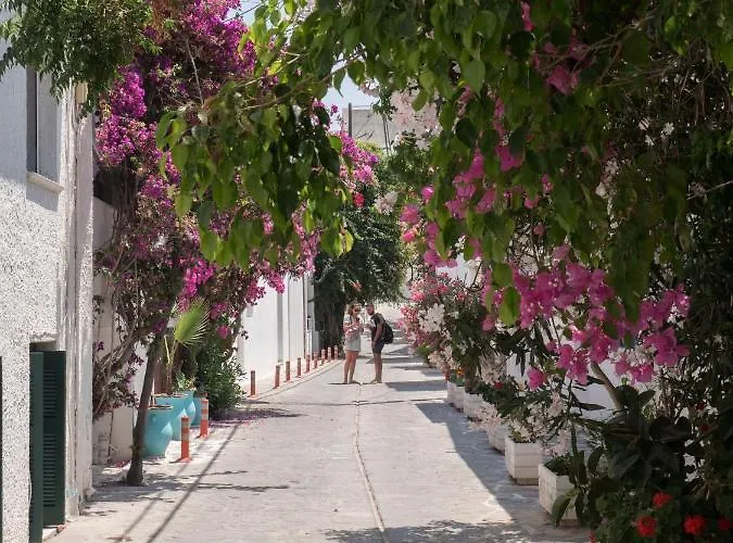 מלון דירות Terra Fos Naxos 4*