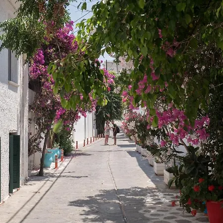 Apartmanhotel Terra Fos Naxos 4*
