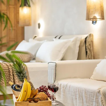 Terra Fos Naxos Lägenhetshotell