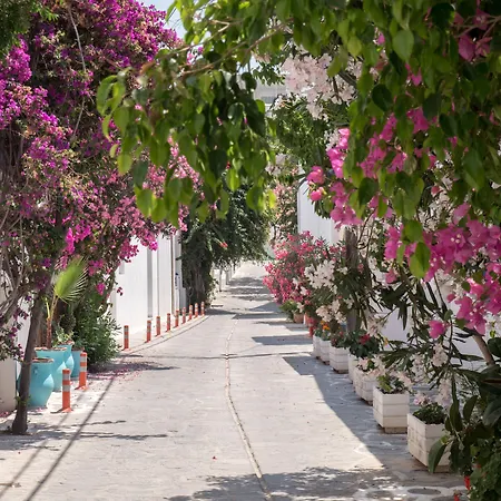 Terra Fos Naxos Lägenhetshotell 4*