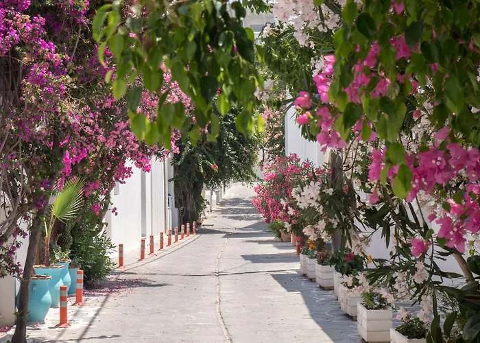 Terra Fos Naxos Studios Aparthotel 4*